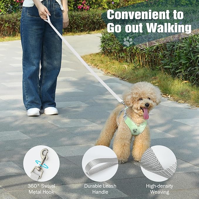 Pawaboo Small Dog Harness and Leash Set, Puppy Harness X-Frame No Pull No Choke, Dog Vest Harness Adjustable for Small Medium Sized Dogs, Soft Breathable Pet Harness for Walking Outing, M, Mint Green
