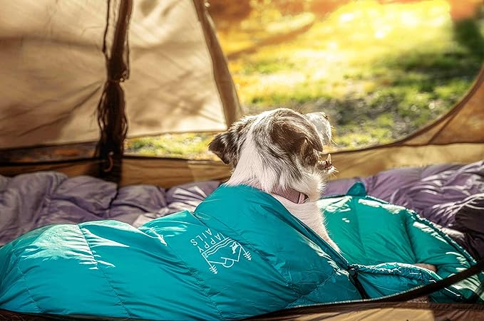 Ultralight Dog Sleeping Bag for Backpacking-Outdoor Dog Bed for Hiking-Packable Sleeping Bag for Dogs-Dog Travel Bed (Glacial Blue | Large)