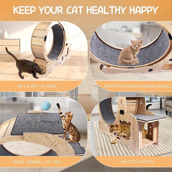 6-in-1 Cat Exercise Wheel - Quiet Wood Cat Treadmill with Cat House, Tree & Feeding Bowls - Sturdy Indoor Cat Activity Center for Running & Play - Large Cat Furniture with Scratching Pad