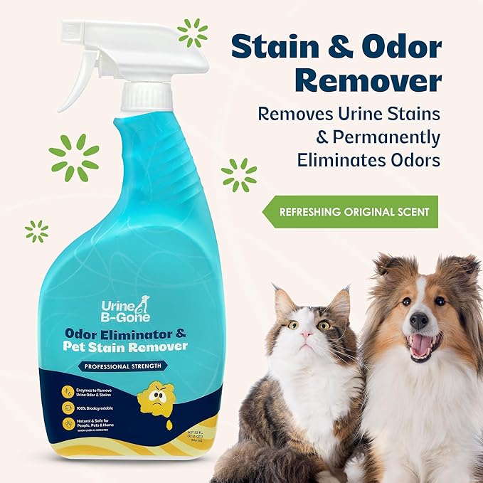 Urine B-Gone, Professional Enzyme Odor Eliminator & Pet Stain Remover, Human, Cat & Dog Urine Cleaner, Effective on Laundry, Carpets & More, Original Scent, 32oz