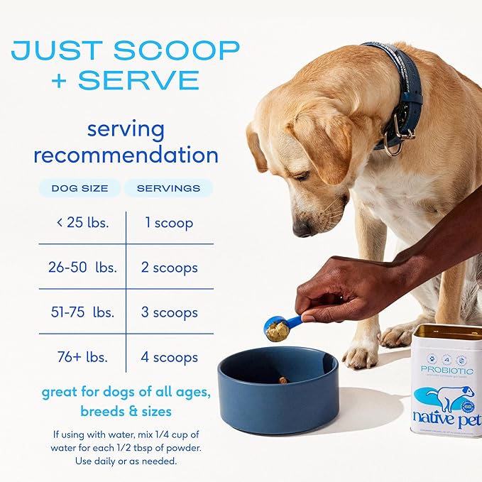 Native Pet Probiotics for Dogs - Dog Probiotics Powder for Digestive Health, Gut Support, & Immune Boost – Vet-Formulated Powder for Maximum Potency with Digestive Enzymes & Prebiotics - 120 Scoops