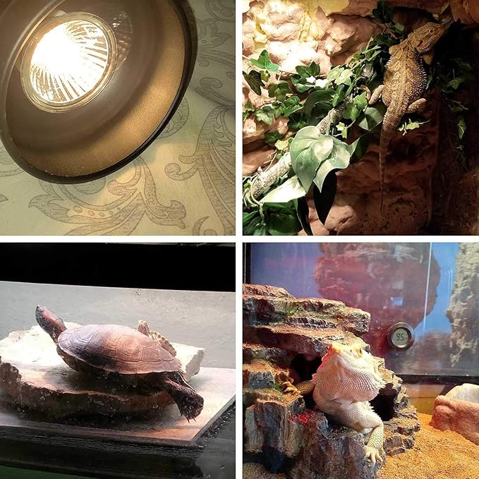 OMAYKEY 50W 6-Pack UVA + UVB Full Spectrum Sun Lamp Sunbathe Heat Lamp/Bulb/Light for Lizard Reptiles and Amphibians
