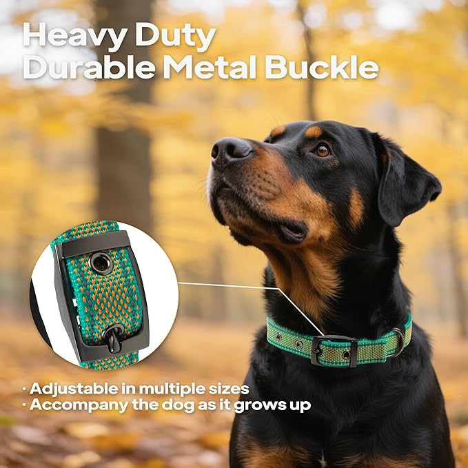 PetiFine Dog Collar for Large Dogs, Neoprene Padded and Adjustable, Reflective Wide Heavy Duty Pet Collars with Durable Metal Belt Buckle for Walking, Teal&Orange, M