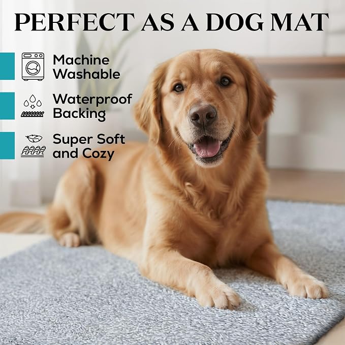 Premium Microfiber Indoor Door Mat – 24"x36" Washable Entry Mat, Waterproof