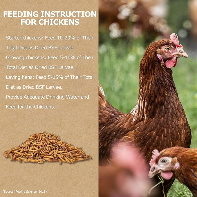 Premium Dried BSF Larvae for Chickens - 10LB High Calcium Supplement, Molting and Laying Support, Non-GMO & High-Protein Treats, Food for Wild Birds, Ducks, Repitle | Top Grade BSF