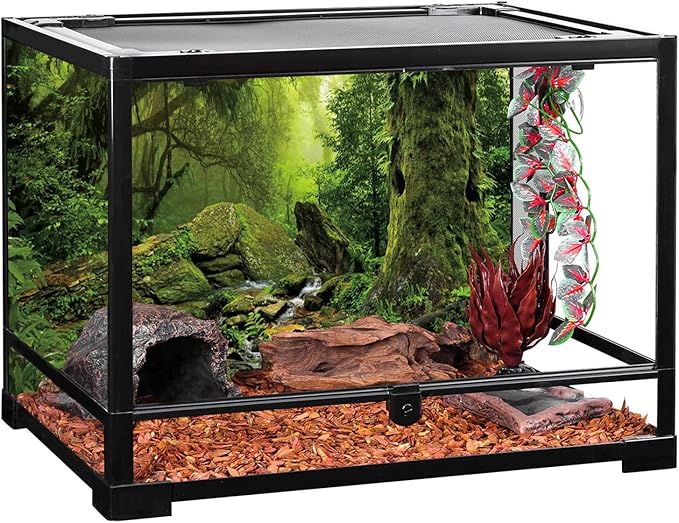 AWERT Tropical Forest Terrarium Background Stream Green Huge Tree Reptile Habitat Background Foggy Rainforest Aquarium Background 72x18 inches Durable Polyester Background