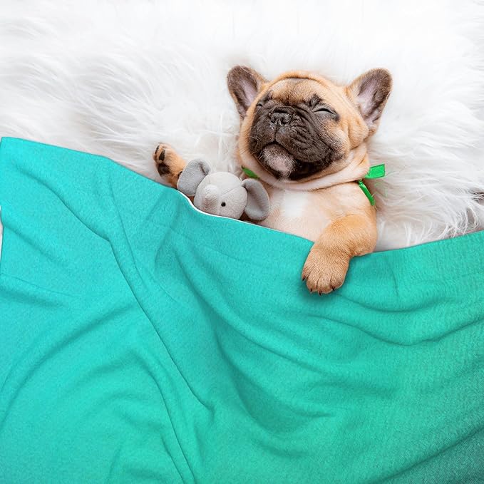 Waterproof Dog Blanket Soft Pet Blanket for Puppy Cat, Fleece Cat Throw Blankets for Furniture Bed Couch Sofa Reversible - Turquoise Light Blue
