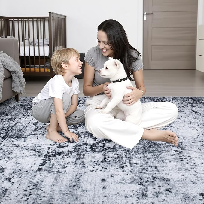 5x7 Area Rug Living Room Rug: Washable Modern Abstract Soft Thin Rug Indoor