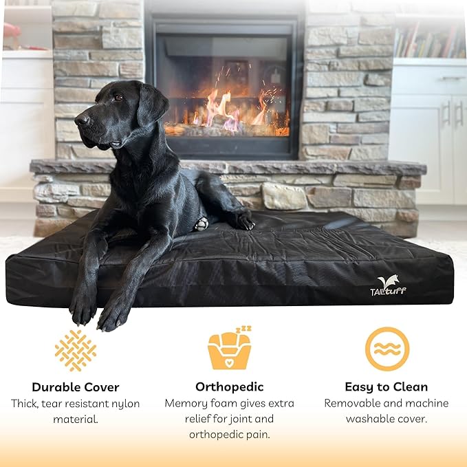 Elevated Dog Bed | Orthopedic Memory Foam | Large and Medium Dogs | Removable and Washable Cover | Waterproof Liner | Extra Large Gray