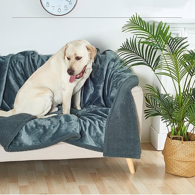 Waterproof Pet Blanket, Lovers Blanket Reversible Plush Sherpa Fleece Furniture Protector for Sofa, Bed & Couch, Liquid & Pee Proof Dog Blanket Cover for Dogs Cats Lovers Couples (Black, XXL(79"x79"))