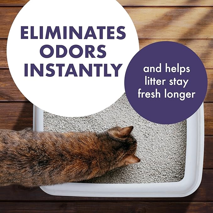 Arm & Hammer Forever Fresh Cat Litter Deodorizer, Wild Lavender, Essential Oils, Baking Soda Odor Neutralizer, 30 oz. Pack of 6 (Packaging May Vary)