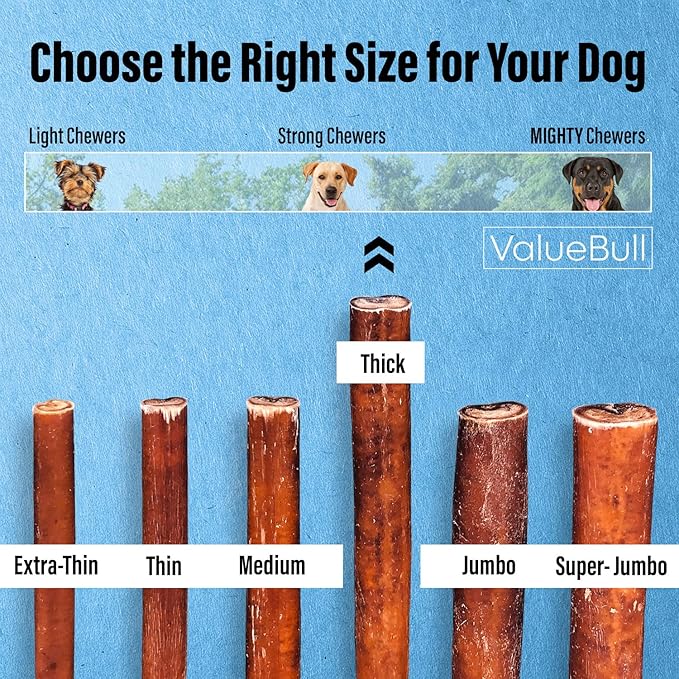 ValueBull Bully Sticks for Dogs, Thick 6 Inch, 50 Count - All Natural, Grass Fed, Single Ingredient, Long Lasting Dog Treats
