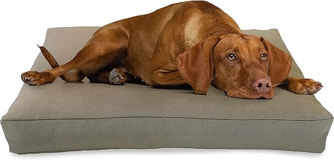 Small - 30 x 20 x 4 - Natural Premium Organic Hemp Dog Bed - Organic Latex Fill - Removeable Cover