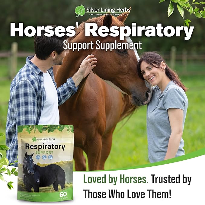 Silver Lining Herbs Respiratory Support Supplement for Horses - Horse Supplements for Lung Cleanse & Respiratory Health - Great for Lung Function, Breathing & Clear Airways - 1 lb 60-Day Supply