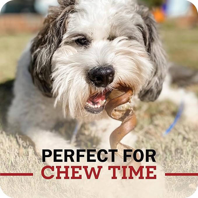 Redbarn Pet Products Naturals 200005 Odor Free Bully Springs Pet Chew Treat 25 Case, One Size
