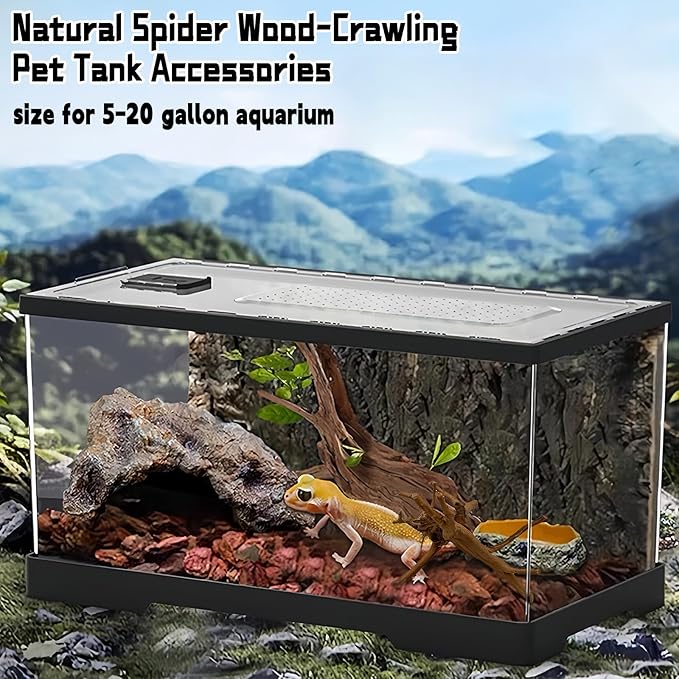 Hamiledyi 5PCS Driftwood for Aquarium 7-9in Natural Reptile Spider Wood Assorted Branches Aquarium Decoration Fish Tank Ornament Decor
