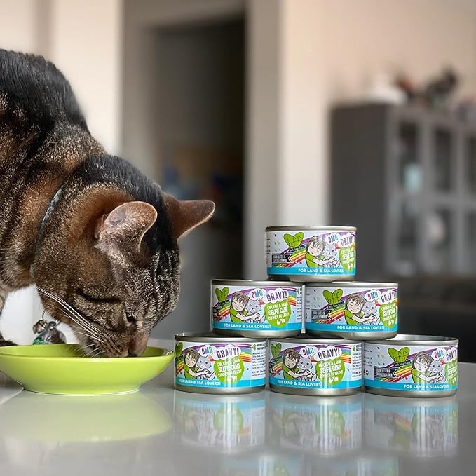Weruva B.F.F. OMG - Best Feline Friend Oh My Gravy!, Chicken & Duck Dream Team with Chicken & Duck in Gravy, 5.5oz Can (Pack of 8)