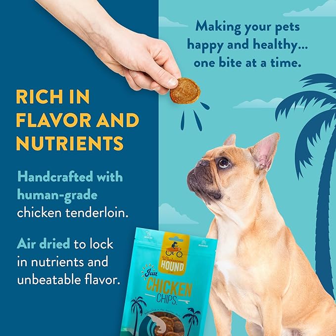 Chicken Chips – Single Ingredient Dog Treats, All Natural & Healthy Training Snacks for Small, Medium & Large Breeds, Puppies – High Protein, Made in US 16oz
