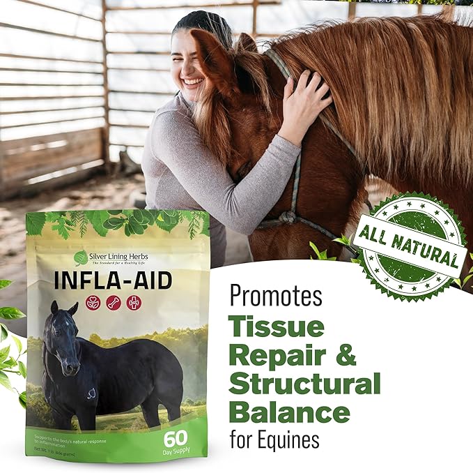 Silver Lining Herbs Infla-Aid for Horses – Natural Anti Inflammatory Supplement for Inflammation Relief – Supports Recovery, Comfort, and Mobility in Muscles, Tendons & Joints – 1 lb Bag (60 Servings)