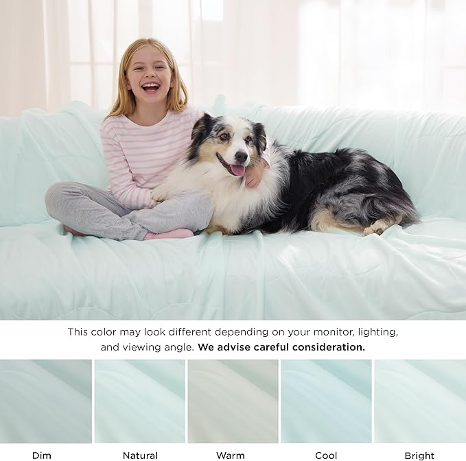 Bedsure Cooling Blanket for Bed with Breathable Air-Core Fill Q-MAX>0.4 - Lightweight Pet Cat Throw Cold Blanket Washable for Summer，Soft Dog Cooling Mat for Couch, Pale Jade, 60x80