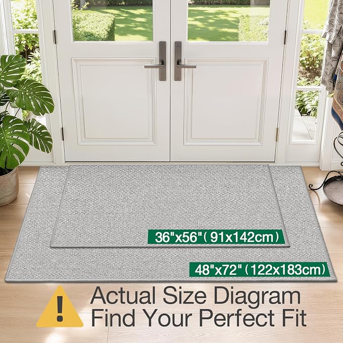 LUMI Ultra Thin Indoor Door Mat