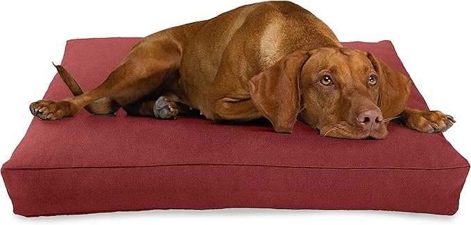 X-Large - 48 x 30 x 5 - Cranberry Premium Organic Hemp Dog Bed - Organic Latex Fill - Removeable Cover