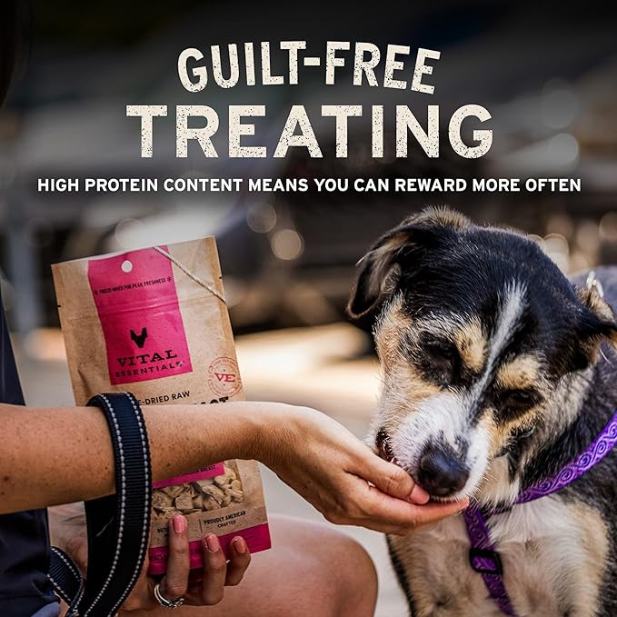 Vital Essentials Salmon Bites Dog Treats, 5 oz | Freeze-Dried Raw | Single Protein | Premium Quality High Protein Training Treats | Grain Free, Gluten Free, Filler Free