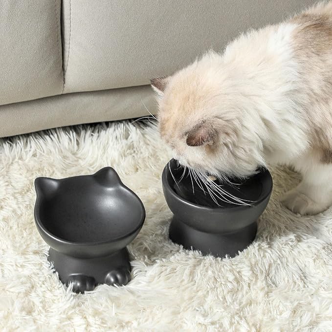 Nihow Elevated Cat/Dog Bowls Set : 5 Inch Ceramic Raised Cat Food and Water Bowl Set for Protecting Pet's Spine - Feeding & Watering Supplies for Pets- Matte Black (2PC)