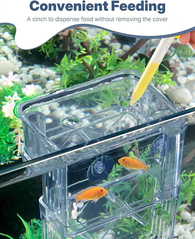 Pawfly Aquarium Breeding Box - Transparent Plastic Breeder Box for Fish Tank, Fry Hatchery Incubator for Baby Fish, Shrimp, Betta, Clownfish, Guppy, Large