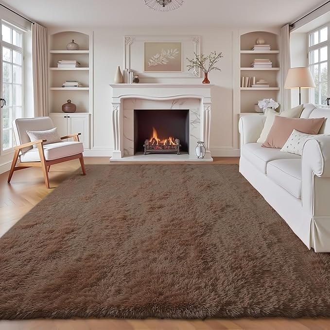 6x9 Area Rug for Living Room: Fluffy Shag Soft Washable Rugs Large Fuzzy Plush Indoor Carpet for Bedroom Nursery Playroom Kids Girls Boys Room (Coffee, 6'x9')