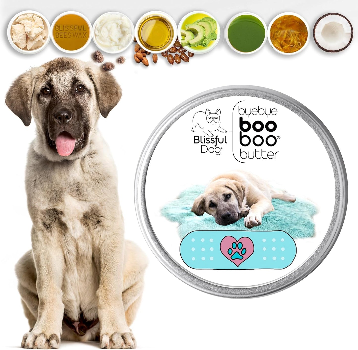The Blissful Dog Anatolian Shepherd Boo Boo Butter, 16 Ounce