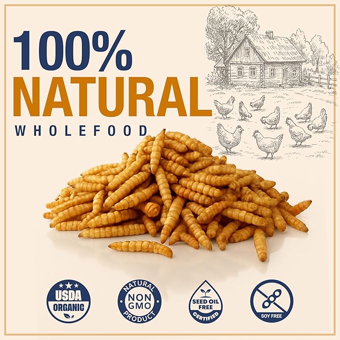 USA Grown Black Soldier Fly Larvae for Chickens - 100% Natural Dried Mealworms for Chickens - Grubs with 85X More Protein Chicken Treats for Laying Hens - Birds Feed Supplement for Ducks & Reptiles