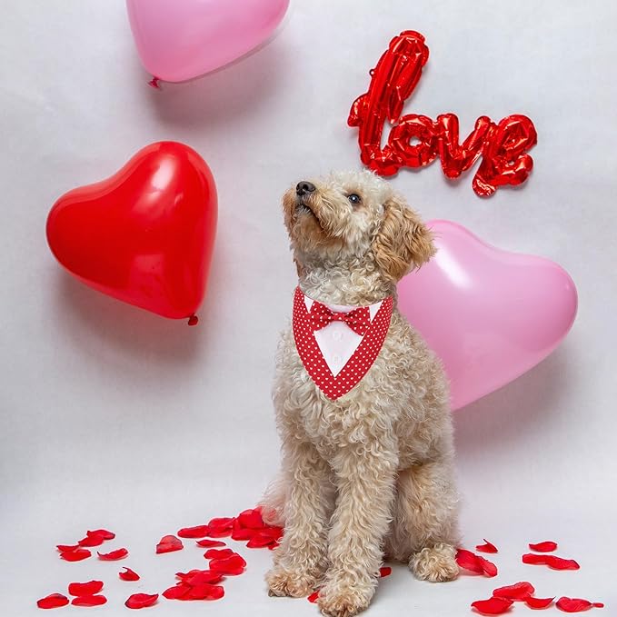 ADOGGYGO Valentine Dog Tuxedo Bandana, Red Heart Pet Tux with Bowtie Adjustable Valentine Costume for Small Dogs Pets (S)