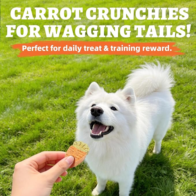 Just Try 10.58oz Baked Carrot Treats Dog Biscuits Chicken Flavor with Carrot & Broccoli Rich in Dietary Fiber Training Treats Healthy Dog Treats