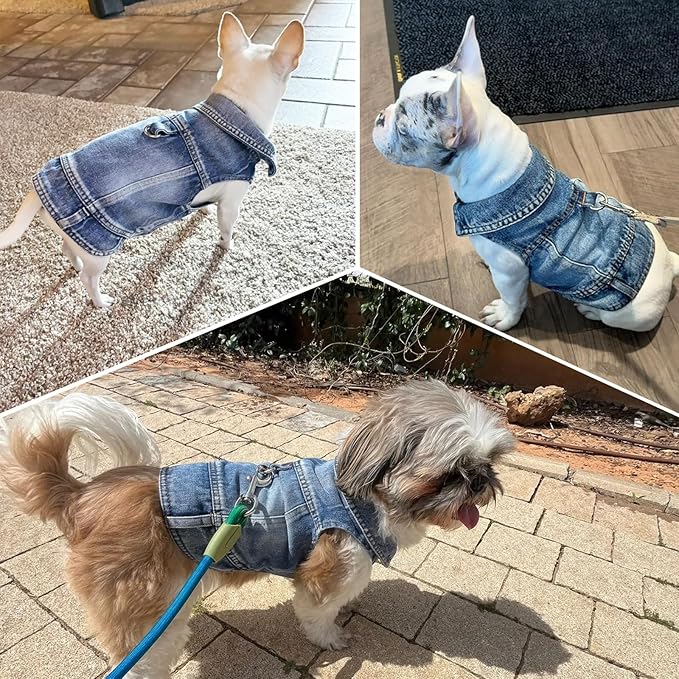 Puppy Clothes for Small Dogs Boy,Classic Western Denim Dog Coat,Dog Jeans Jacket with Leash D-Ring,Pet Cat Costumes,Cooling Harness Vest for Walking (Blue, XX-Large)