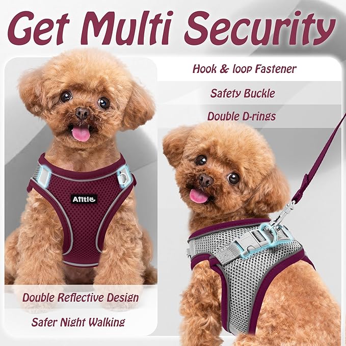 AIITLE Comfortable Dog Harness and Leash Set for Walking - Christmas Step in Vest Harness,Reflective Bands, Adjustable No Pull Puppy Essentials, for Small Dogs and House Cats Burgundy XS