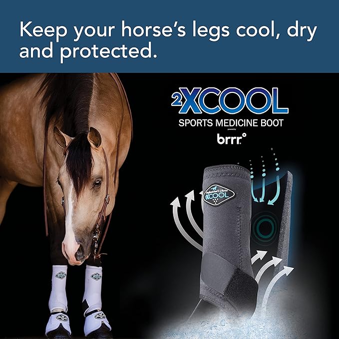 Professional's Choice 2XCOOL Sports Medicine Horse Boots | Protective & Breathable Design for Ultimate Comfort, Durability & Cooling in Active Horses | 2 Pack