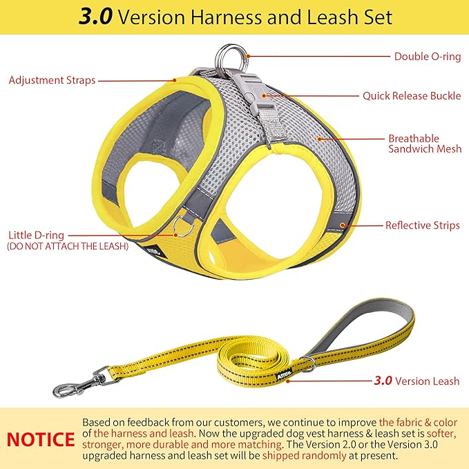 AIITLE Small Harness for Puppy with A Leash - Dog Vest Harness with Super Breathable Mesh, Reflective No-Pull Pet Harness for Outdoor Walking, Running for Small Dogs, Cats Yellow XXS
