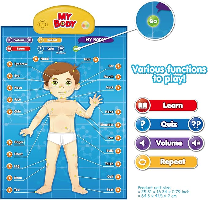 BEST LEARNING i-Poster My Body - Interactive Educational Human Anatomy Talking Game Toy | Learn Body Parts, Organs, Muscles and Bones for Kids Aged 5 to 12 Years Old
