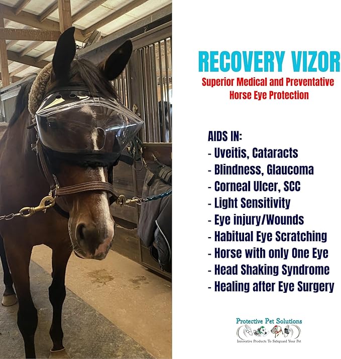 Recovery Vizor, (Size Pony - Clear UV Tint) Medical/Preventative Horse Eye (Goggle) Protection for Uveitis/Injury/Scratch or Corneal Ulcer, Infection, Blindness, Photsensitivity