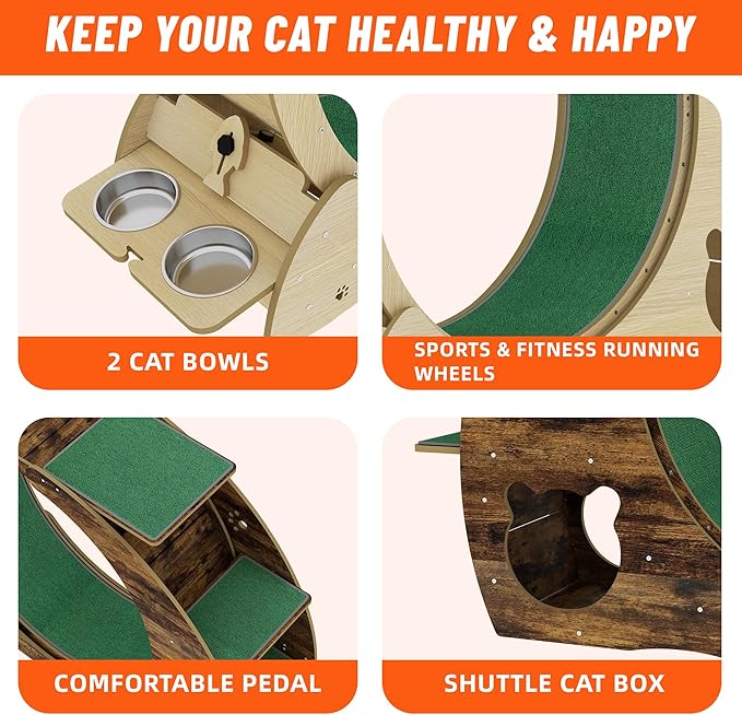 GarveeLife Cat Exercise Wheel for Indoor Cats, Cat Treadmill with Bowls, Scratch Post & Detachable Carpet, Large Quiet Cats Running Wheel for Kitties Endless Fun & Fitness Wood Color
