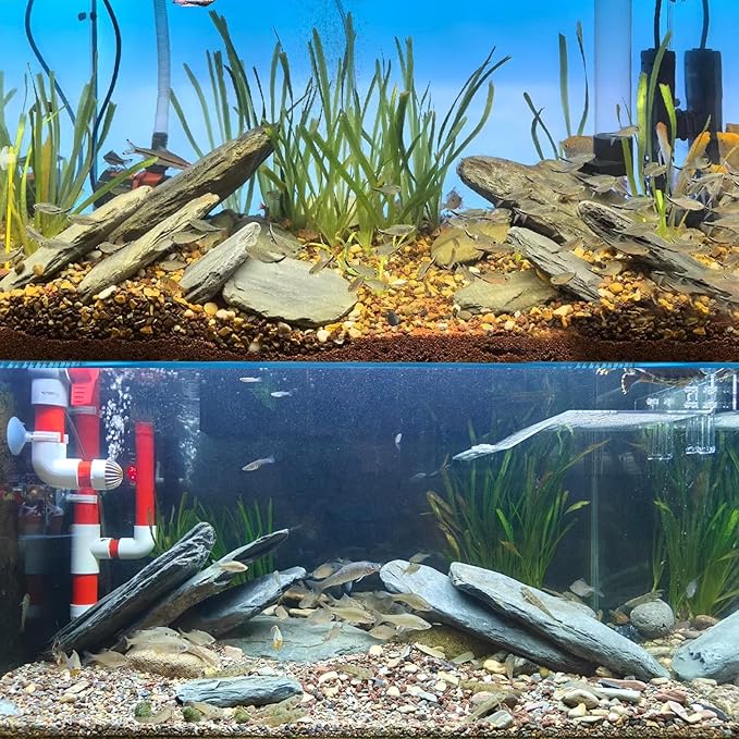 Aquarium Stone Stream Turtle Platform Natural Slate 3-7 inches Fish Tank Rock for Aquarium Decoration and Shrimp Tanks and Amphibian & Reptile Terrariums-5lb