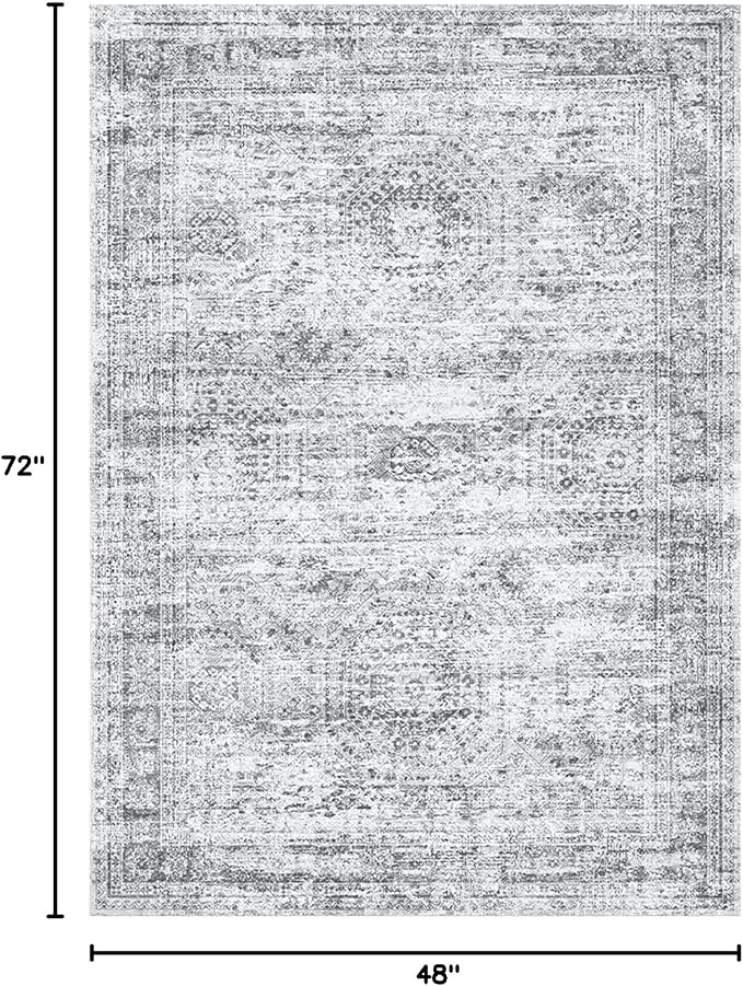Soalmost Area Rugs 4x6 for Living Room, Vintage Washable Rugs for Dining Room