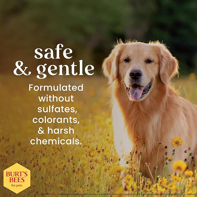 BURT'S BEES FOR PETS Dog Paw and Nose Lotion with Rosemary and Olive Oil, Moisturizing Paw Balm for Dry Cracked Pads and Dog Nose Butter Moisturizer, Paw Lotion for Dogs Skin Care, 4 Fl Oz