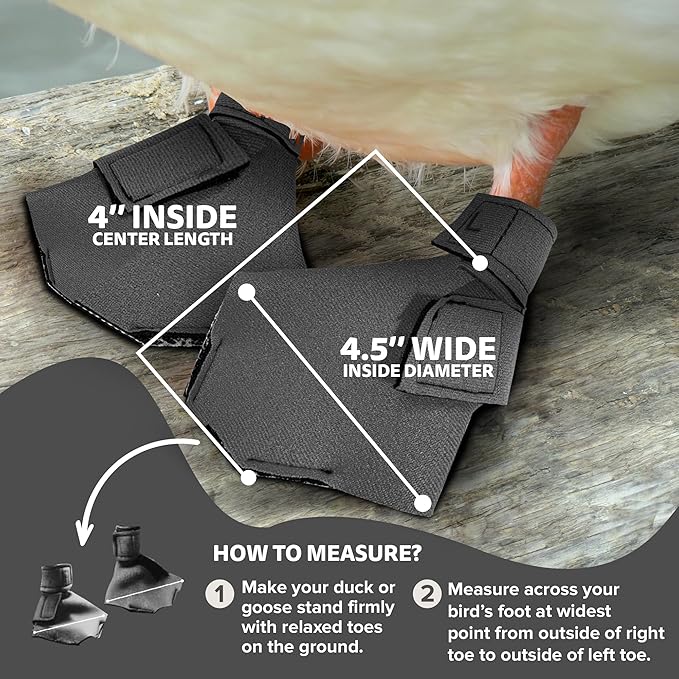 Duck Shoes for Injured Feet – Protective Neoprene Footwear for Ducks, Protective Shoes for Birds with Injured feet, Bumblefoot Relief - Large, 4.5” Max. Inside Width - Gray