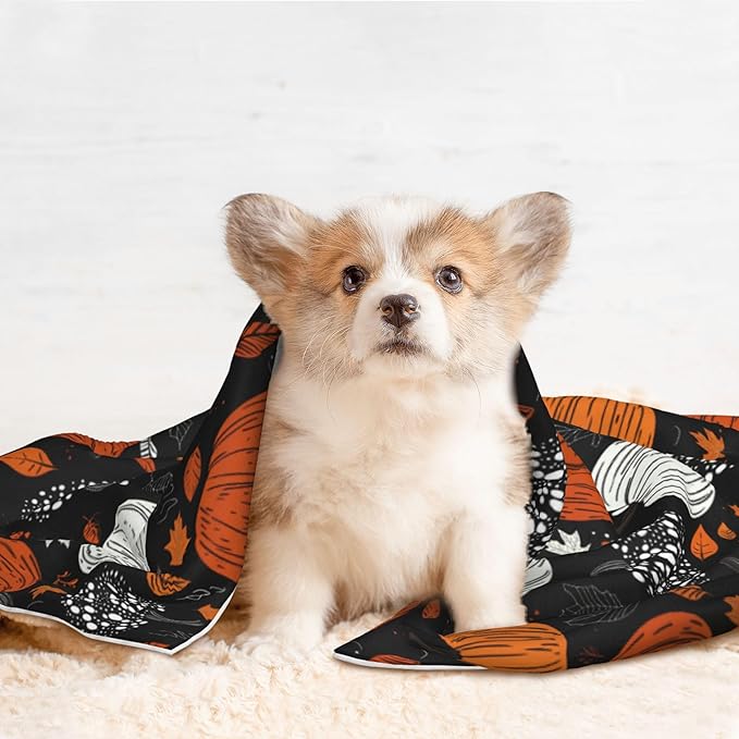 Fall Pumpkins Throw Blanket - Halloween Blanket for Dog Cat Autumn Pet Blankets 40x30 for Couch Sofa Bed