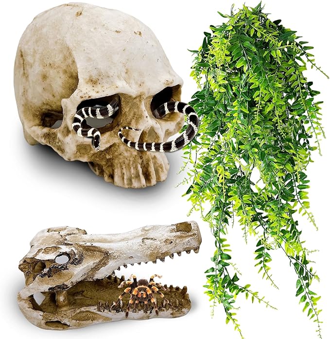 Tfwadmx Human Skull and Crocodile Skull Decor, Snake Hide, Tarantula Enclosure Accessories, Resin Skull with Vines Reptile Terrarium Tank Decor for Geckos, Lizards, Spiders