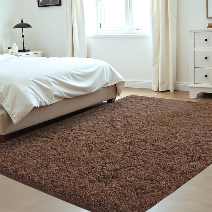 4x6 Area Rug for Living Room: Fluffy Shag Soft Washable Rugs Fuzzy Plush Indoor Carpet for Bedroom Nursery Playroom Dorm Kids Girls Boys Room (Coffee, 4'x6')