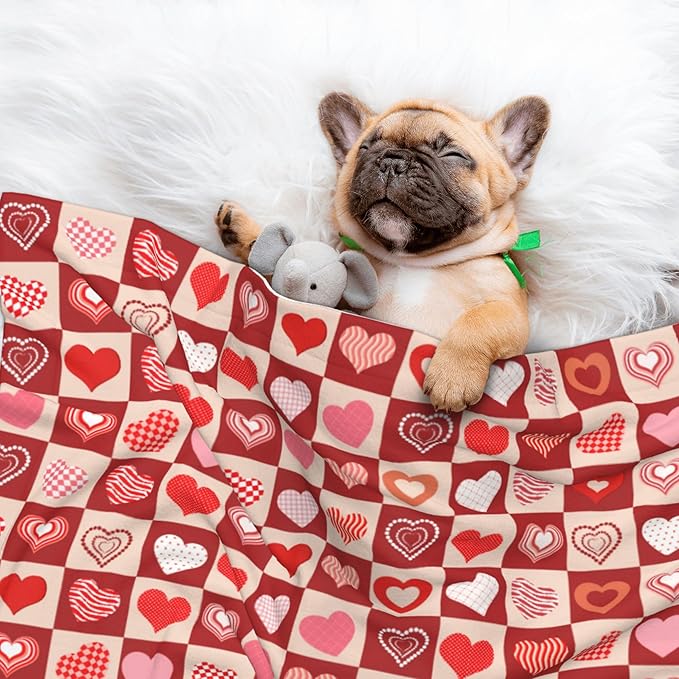 Pink Red Throw Blanket - Hearts Blanket for Dog Cat Pet Blankets 23x16 for Couch Sofa Bed