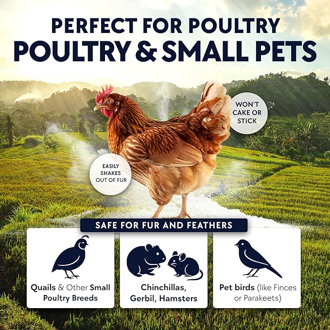 5.5lb Chickie-Whiz Chicken Dust Bath - Made in USA - All Natural Volcanic Ash Dust Bath for Chickens - Healthier Eggs & Feathers - Chicken Coop Accessories for Farms by Billy Buckskin Co.